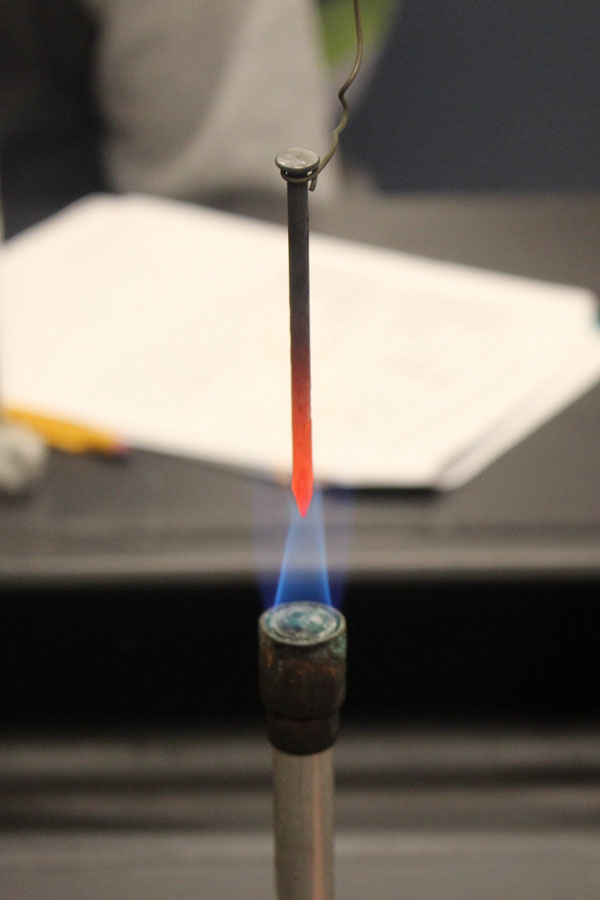 Students heat up a nail over the bunsen burner.  This was the main part of the lab, and after they measured the temperature difference.