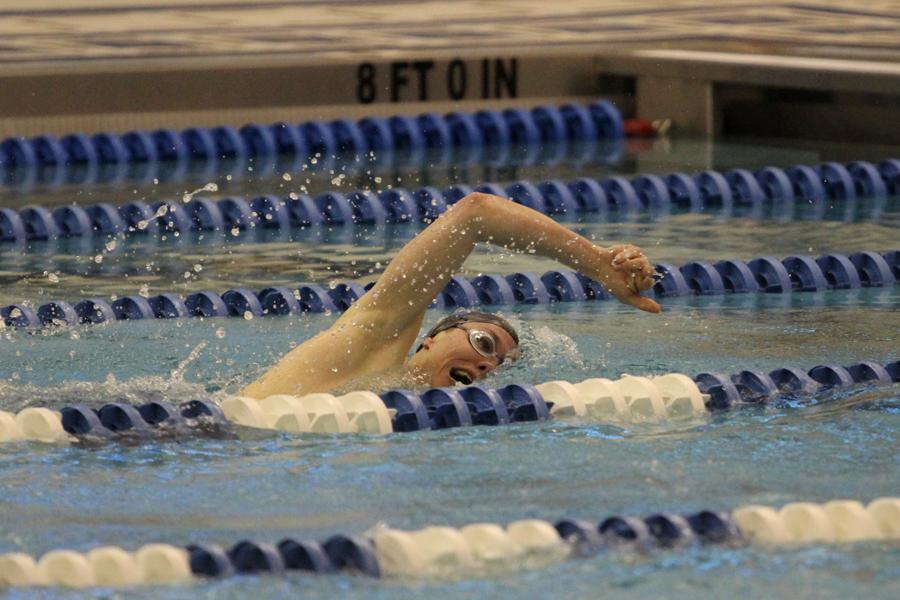 Kyle Massa (11) swims freestyle. Sectionals took place on Saturday, Feb. 21. 