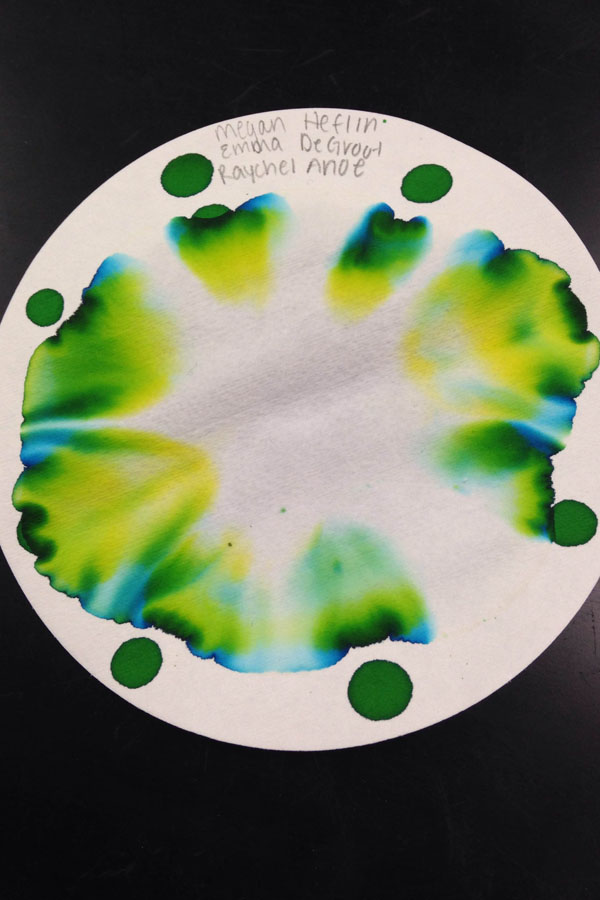 After the students put the chemicals on the surface paper, the food coloring is diffused across the paper. The lab only took one class period.