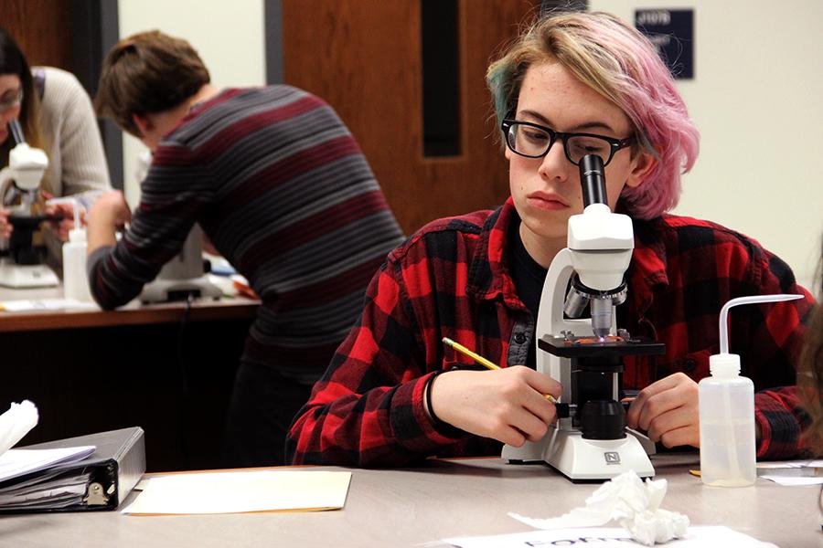 Jadon Bloom (12) peers into a microscope at a piece of hair. For a section of the Forensics final, students identified a hair fiber.