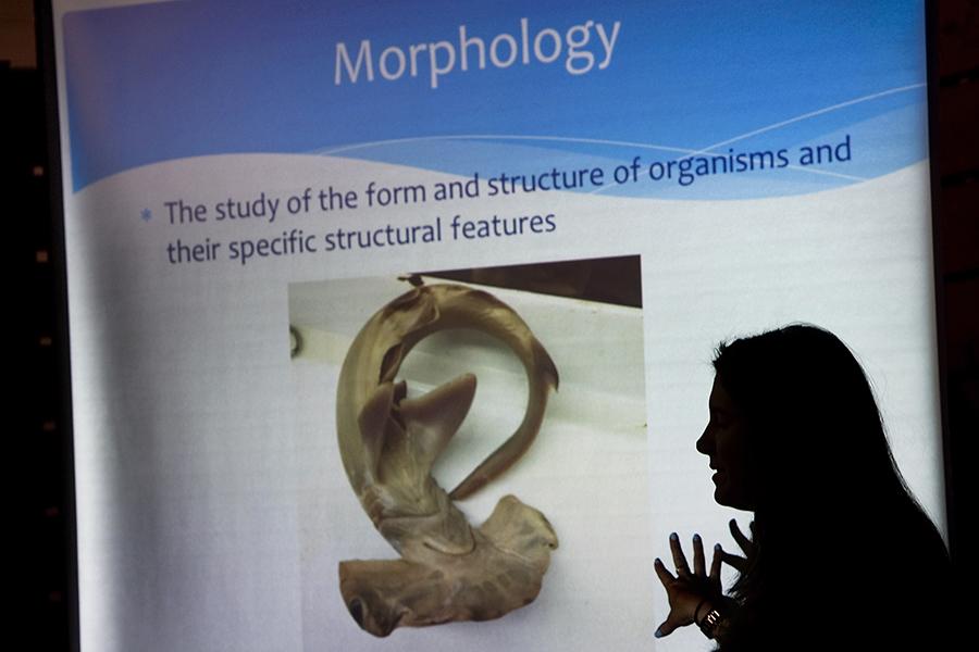 A student gives a digital presentation on Morphology. During this year’s science fair, students were able to showcase their abilities digitally.  (Used with limited license: Mindy Schauer/Orange County Register/TNS)