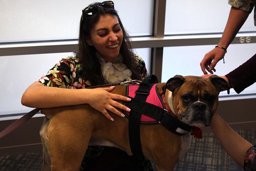 Alexa Adams (12) cuddles with one of the dogs students were allowed to interact with. The administration hoped that by supplying students with dogs, they would feel less stressed.