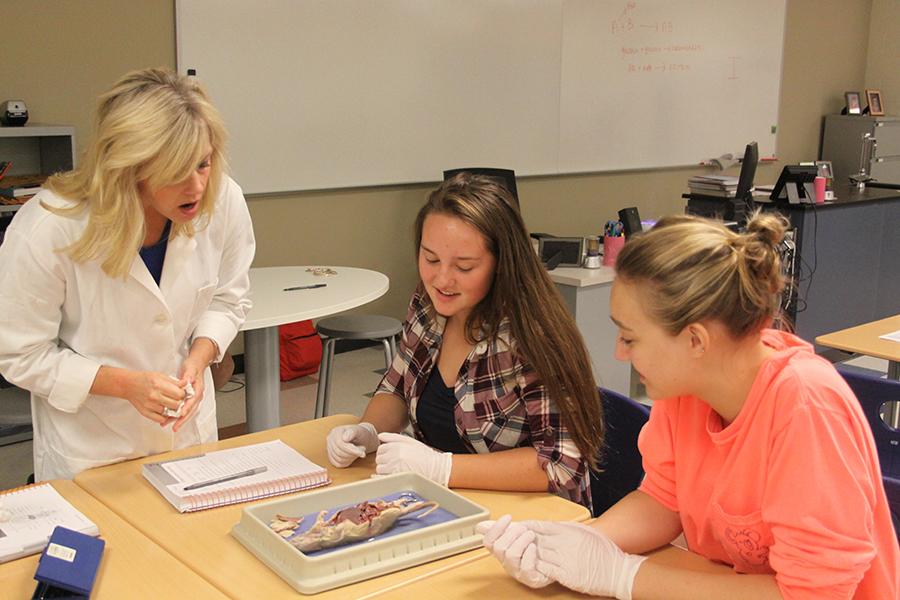  Mrs. Parks, Jessie Balka (11) and Nina Zochalski (11) all discuss the internal structure of the rat. Students in Honors Anatomy participated in the lab.