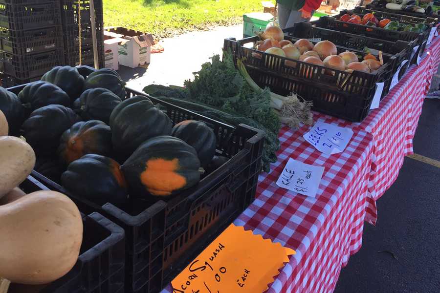 Zandstra’s Farm sells its produce at the Highland Farmer’s Market every week. The farm has been coming to the market for the past 18 years.

