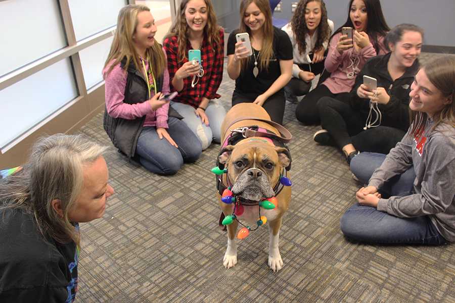 Students surround the dog, Daisy Mae, to take pictures of her in her costume. The lab occurred on Friday, Dec. 16. 
