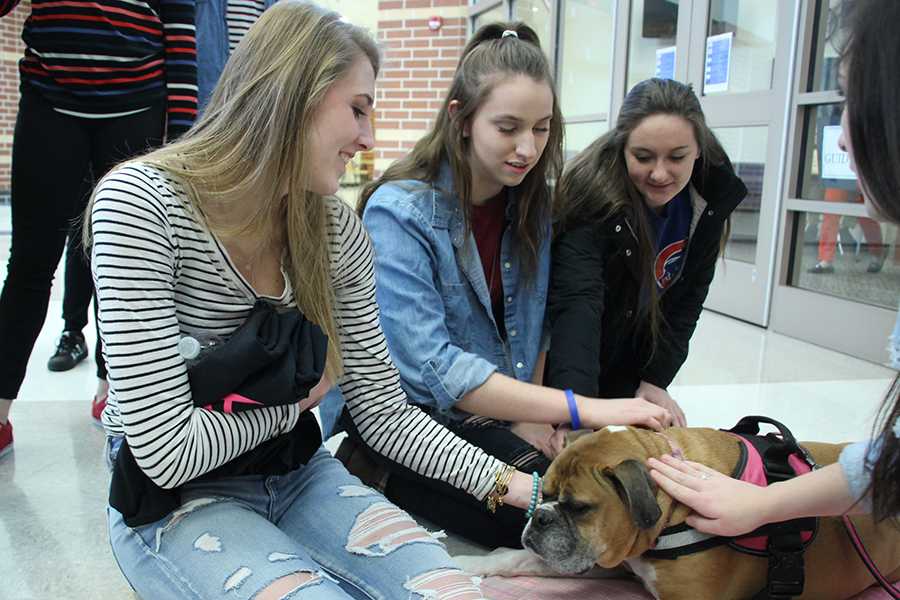 Students show love to the dog available to pet during De-Stress Fest. This event is held every year the week before finals.