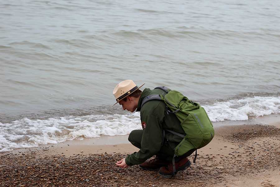 Ranger Joseph Gruzalski looks for zebra mussels in the sand. Zebra mussels are an invasive species that have been brought to the Great Lakes. 