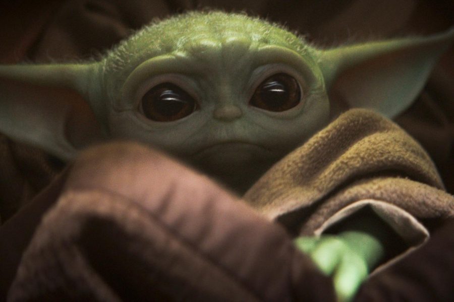 Baby Yoda in The Mandalorian stares up into the camera. Baby Yoda is full animatronic, making him more real for the actors and viewers.