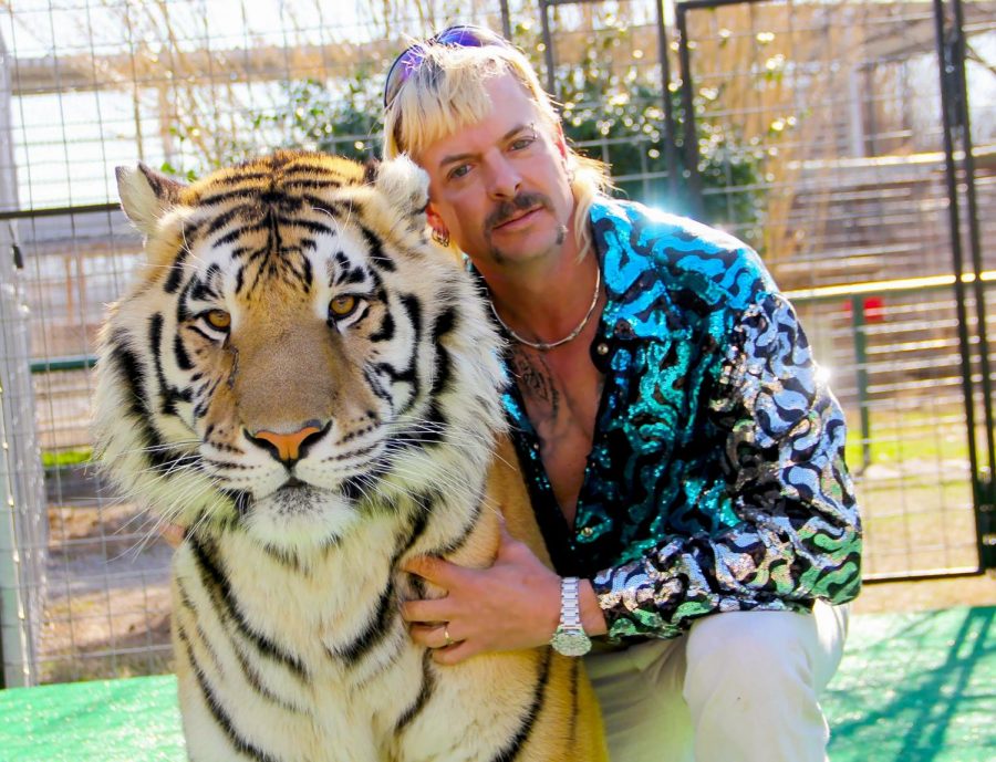 Tiger King follows Joe Exotic and his exotic animal zoo in Oklahoma. This January, Exotic was sentenced to 22 years in jail for hiring a hitman to kill nemesis Carole Baskin.
