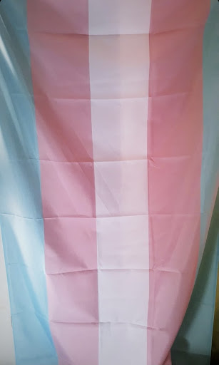 A blue, pink and white stripped transgender flag is shown hung up. Photo submitted by: Damien Evergreen