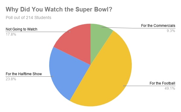 Why Did You Watch the Superbowl?