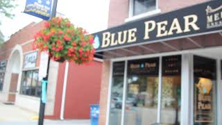 Blue Pear Antique Store