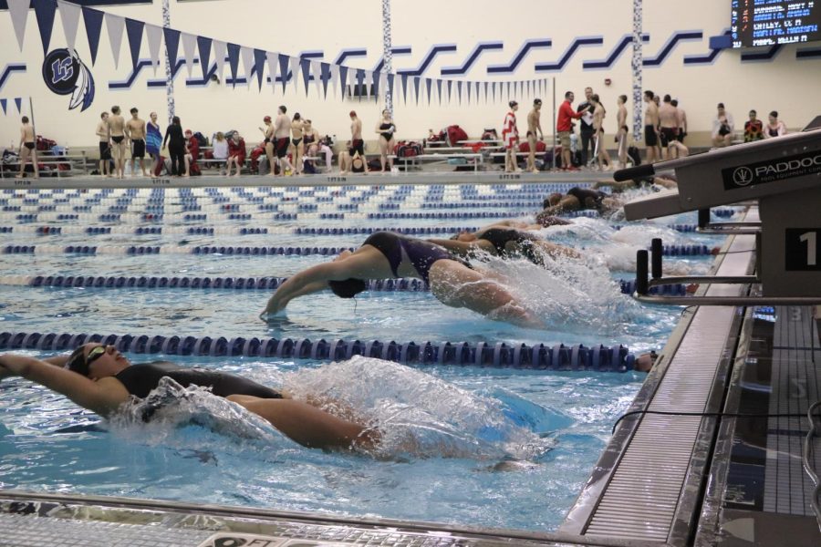 Swimmers dive backwards into the pool to start their race.  The girls competed fiercely in the pool.