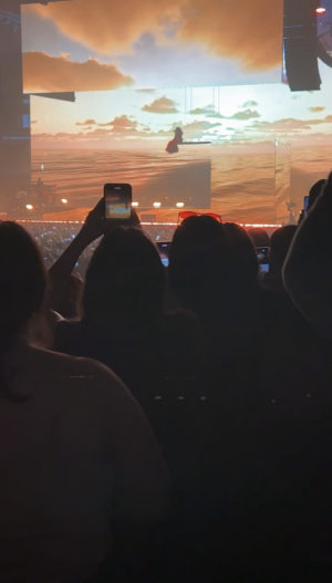 Nathan Amescua (10) Takes on SZA Performance in Chicago