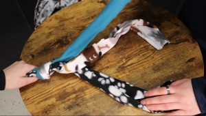 Dog Toy Tutorial: N-Teens Spring Activity