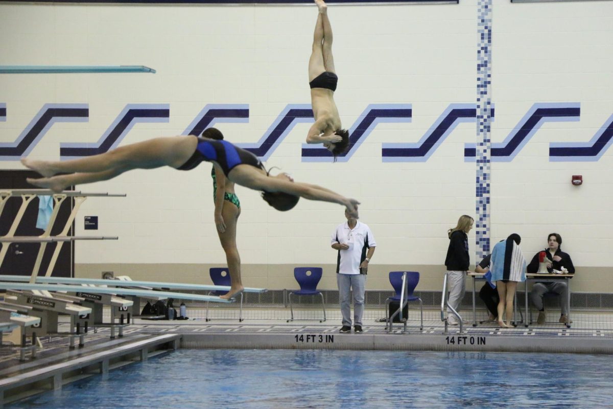 Diving Into The Competition