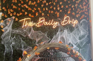 Daily Drip Fall Review