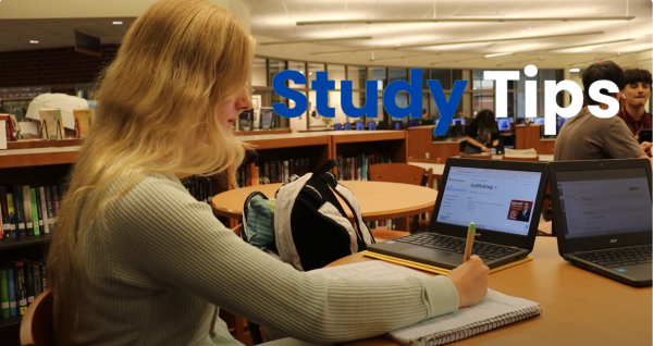 Studying for the School Year